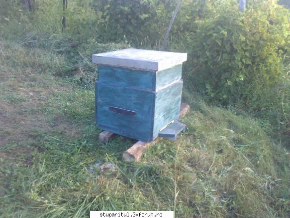 sa inveti nu este niciodata tarziu ..... - Sunt din judetul Gorj stau la - PAGINA APICULTORULUI INCEPATOR