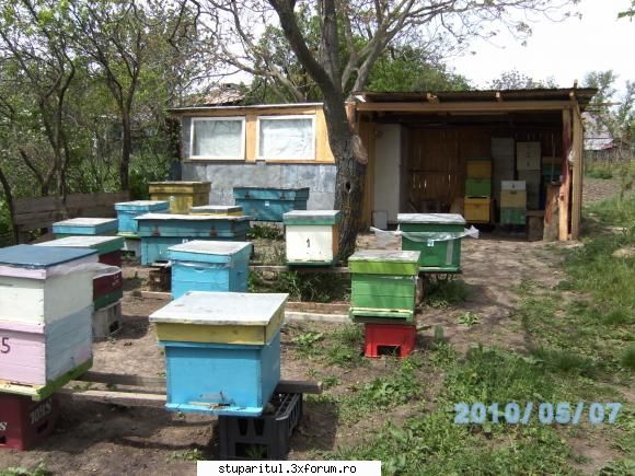 sa inveti nu este niciodata tarziu ..... - Salut Big si baga tare ca vine - PAGINA APICULTORULUI INCEPATOR