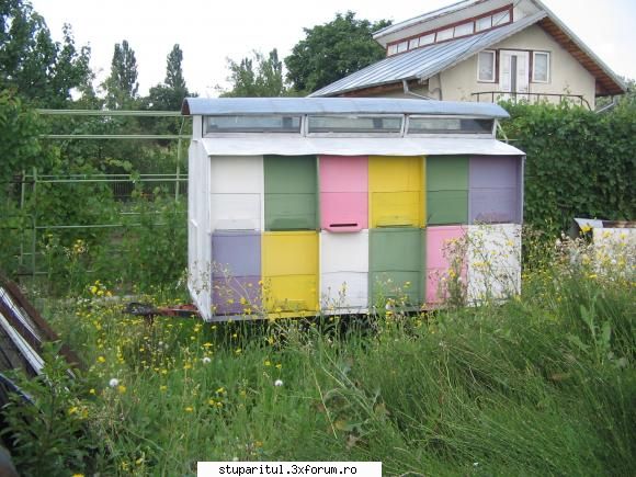 salutare - va place noua mea achizitie??astept parerile dvs - POZE