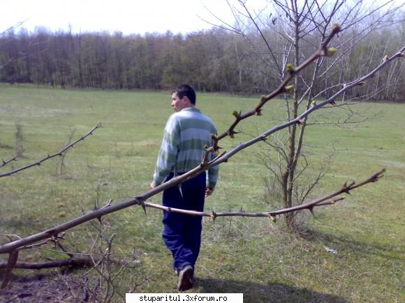 salutari apicultori - Multzumesc d-nu Mihai, asemenea va doresc. Azi am - PAGINI PERSONALE ! CINE SUNT EU ?
