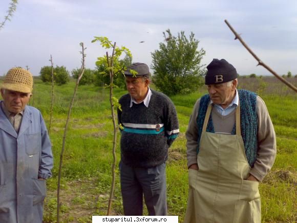 salutari apicultori - Ce sa mai zic oameni buni ??? Alt_ stupar !!! - PAGINI PERSONALE ! CINE SUNT EU ?