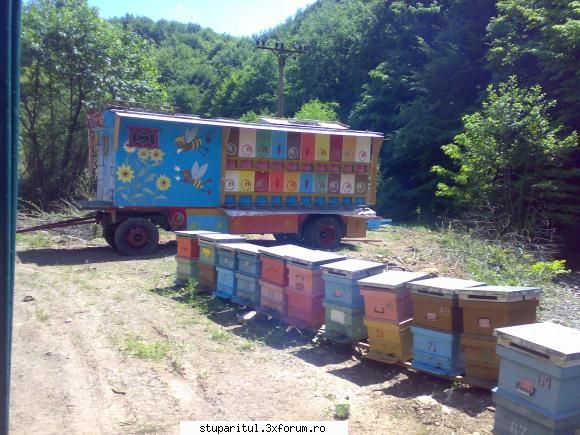 salutari apicultori - Frumos decorat ... se vede gospodar proprietarul - PAGINI PERSONALE ! CINE SUNT EU ?
