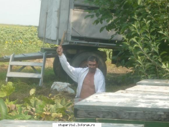 salutari apicultori - Cine vrea bere ??? Iooooo !!! ... veni raspunsu - PAGINI PERSONALE ! CINE SUNT EU ?