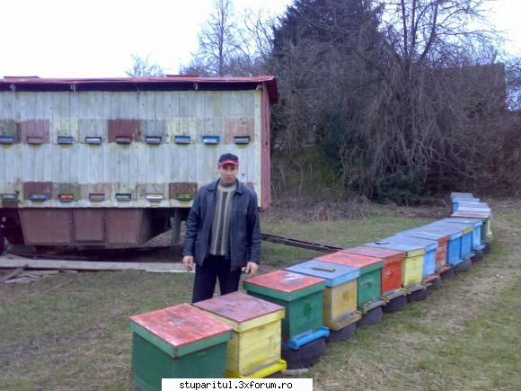 salutari apicultori - Ma gandeam atunci sa-l intreb pe fotograf '' - PAGINI PERSONALE ! CINE SUNT EU ?