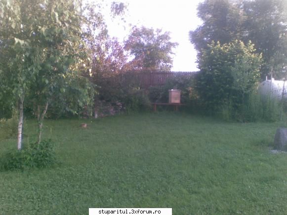 scurta prezentare la cerere - Si asta este cel facut de mine, cu matca - PAGINI PERSONALE ! CINE SUNT EU ?