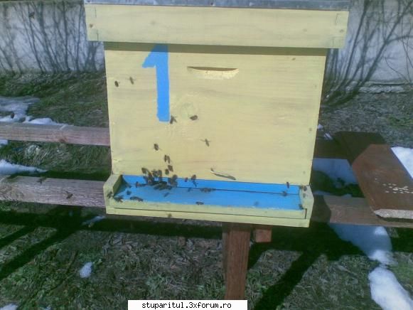 scurta prezentare la cerere - Astazi 19 Feb. , timp excelent 11,5 grade - PAGINI PERSONALE ! CINE SUNT EU ?