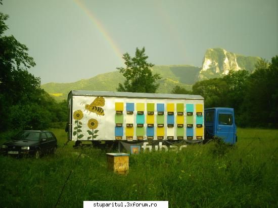 shite pentru pavilion - poate iti foloseste la idei - ECHIPAMENTE SI UTILAJE APICOLE