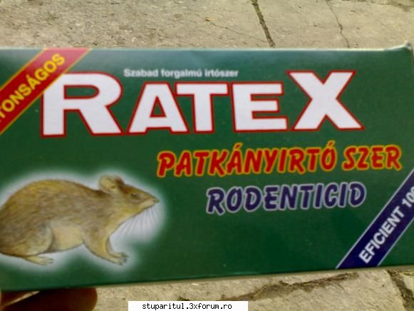 soarecii ataca stupii - nu fac publicitate - BOLI SI DAUNATORI - TRATAMENTE