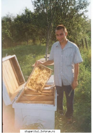 stup cu un colector de polen atasat. - aici ,in anul 1998,un roi care a cladit - POZE