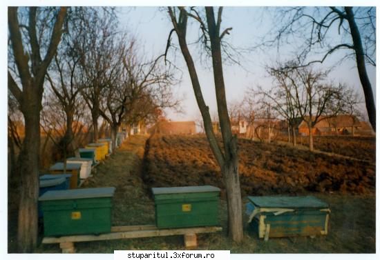 stup cu un colector de polen atasat. - o zi de noiembrie,paremi-se in anul 1998. doresc - POZE