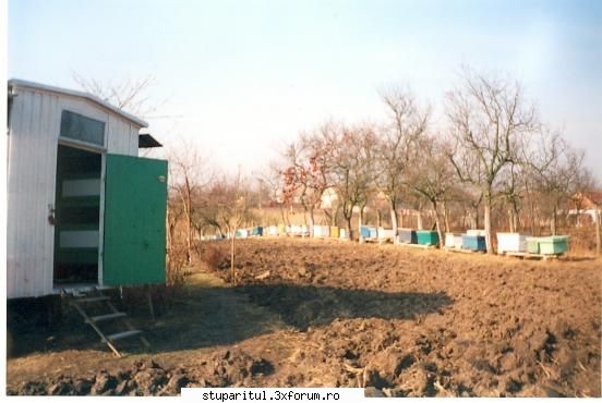stup cu un colector de polen atasat. - stupina in pragul iernii din anul 1998 - POZE
