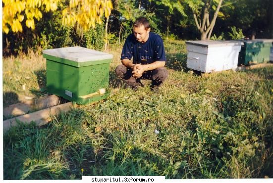 stup cu un colector de polen atasat. - aici sunt in toamna anului 2003,cu stupina in - POZE