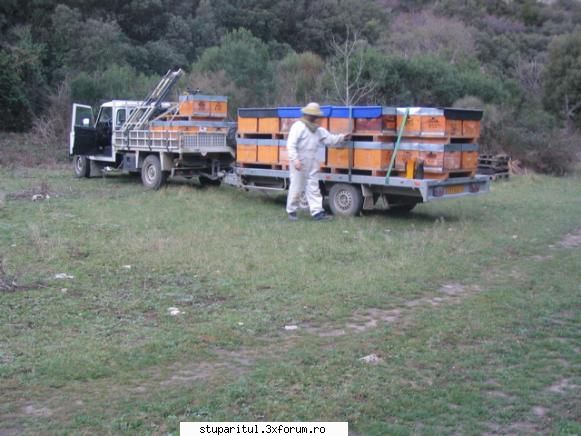 stupi paletizati - aici vedeti cum transporta el stupii si - NOUTATI IN APICULTURA