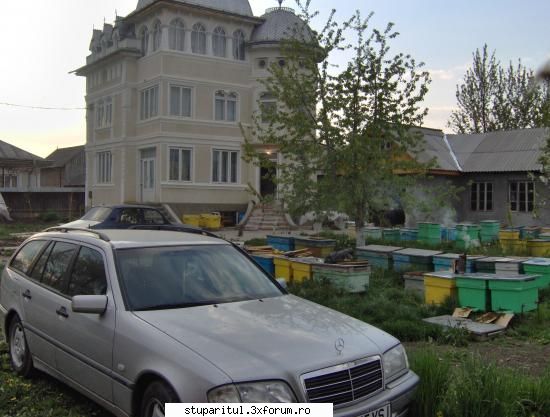 stupii mei - se pare ca o sa reusesc singur - VIDEOCLIPUL SAPTAMANII