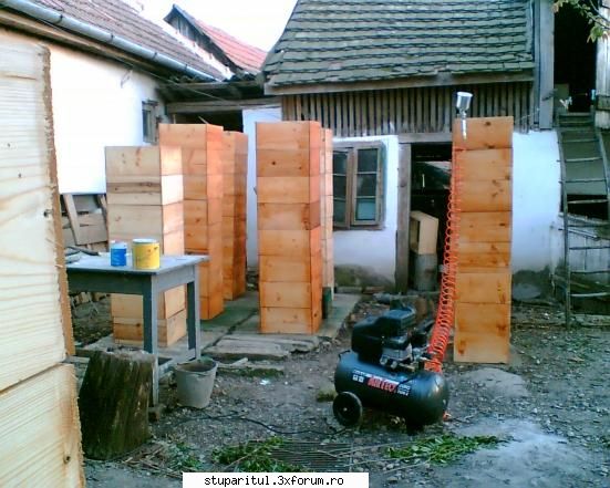 stupii mei - pregatirea lazilor pentru albine - POZE