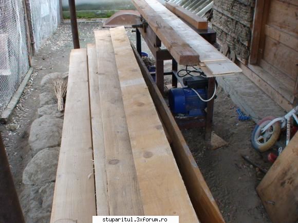 stupii mei cei noi - si ceva material uscat linga abrichtul meu - ECHIPAMENTE SI UTILAJE APICOLE