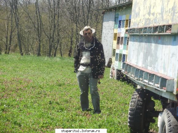 stupina d-lui Slobozeanu de florii - priviti si va minunati!!!! - POZE