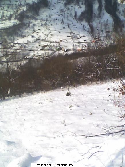 stupina in MARAMURES - Buna ziua, multumim pt informatia despre - PAGINI PERSONALE ! CINE SUNT EU ?