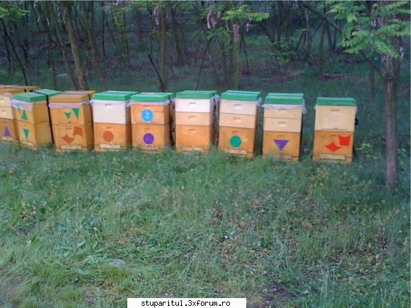 stupina in MARAMURES - dulos_theo - PAGINI PERSONALE ! CINE SUNT EU ?