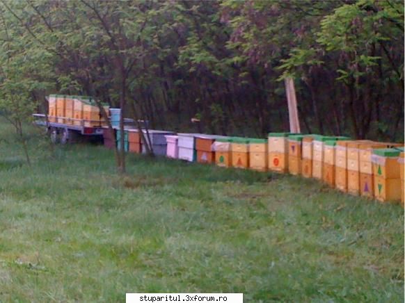 stupina in MARAMURES - privire generala - PAGINI PERSONALE ! CINE SUNT EU ?