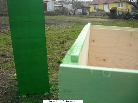 stupina in imagini - Nucleu - POZE