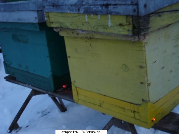 stupina incalzita electric - stup incalzit electric pe inserat - REZERVAT MEMBRILOR "STUPARITUL"