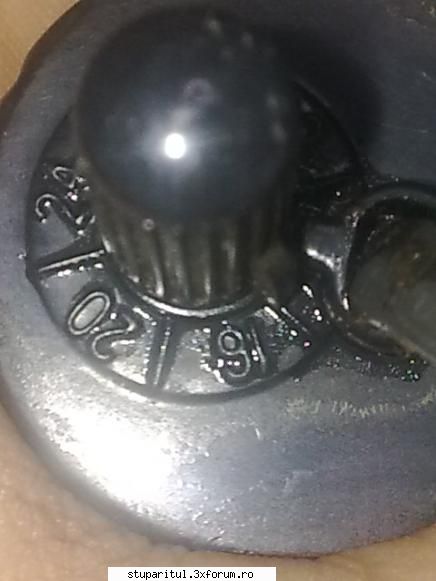 stupina incalzita electric - are propiu reglaji de temperatura - REZERVAT MEMBRILOR "STUPARITUL"