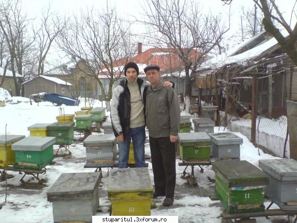 stupina incalzita electric - am fost astazi la domnul Vasile - REZERVAT MEMBRILOR "STUPARITUL"