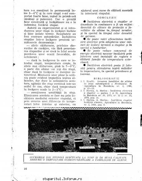 stupina incalzita electric - balanescuadrian - REZERVAT MEMBRILOR "STUPARITUL"