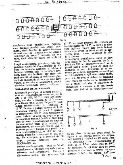 stupina incalzita electric - balanescuadrian - REZERVAT MEMBRILOR "STUPARITUL"