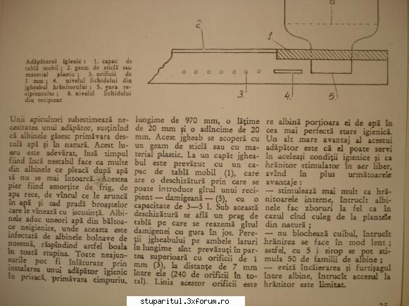 stupina incalzita electric - vasile49 - REZERVAT MEMBRILOR "STUPARITUL"