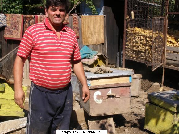 stupina la inundatii - sper sa incadrez cateva situatii cu stupii la - DISCUTII APICOLE DIVERSE