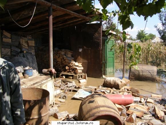 stupina la inundatii - o casa dupa retragerea apelor - DISCUTII APICOLE DIVERSE