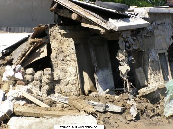 stupina la inundatii - ili956 - DISCUTII APICOLE DIVERSE