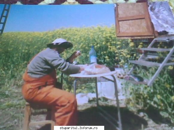 stupina mea - totusi sunt frumoase...ce ziceti?? :D - PAGINI PERSONALE ! CINE SUNT EU ?
