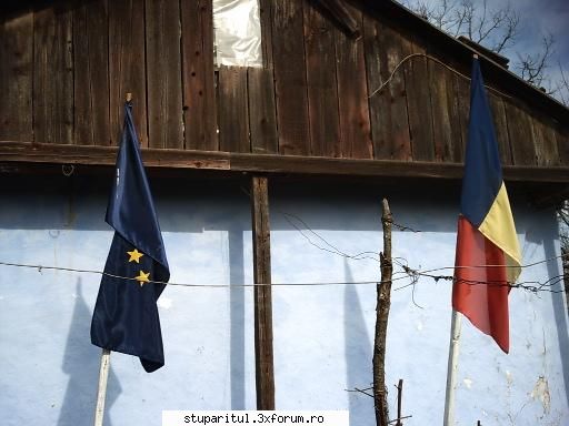 stupina mea - am intrat si noi in UE - POZE