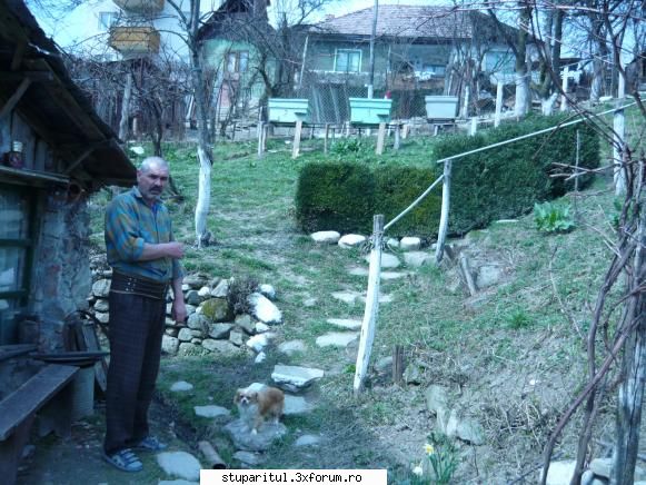 stupina mea - gradina cu stiupii - PAGINI PERSONALE ! CINE SUNT EU ?
