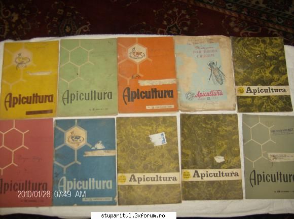 stupina mea dragan dorin - prima data cand a intrat in casa noastra o - POZE