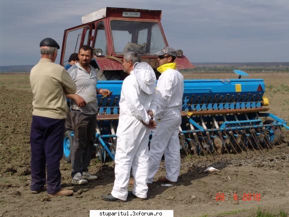sub masca apicola - dar şi �n c�mp la proaspăt - PAGINI PERSONALE ! CINE SUNT EU ?