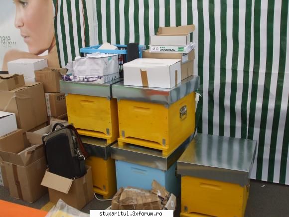 targul de miere bucuresti - stupi foarte frumosi. pacat ca domnisoara nu a - POZE
