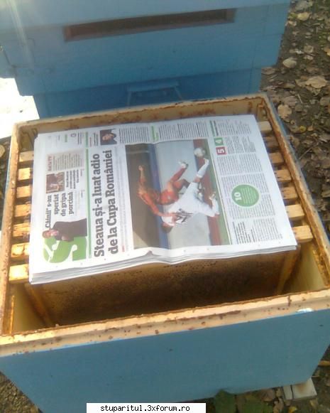 toamna 2009 Salaj - uite-le cum ierneaza la mine:) - POZE
