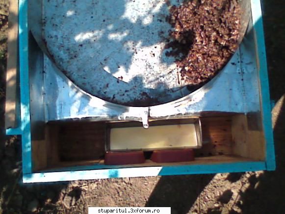 topitor solar super, dar foarte util, trebuie să mai umblu aspect şi picioarele din