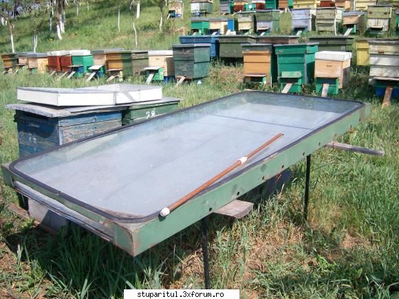 tratamente - Eu recomand sa incerce cineva, la o temperatura - BOLI SI DAUNATORI - TRATAMENTE