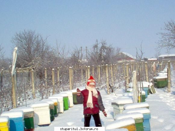 un om si el - una dintre muste a iesit "brrr" - PAGINI PERSONALE ! CINE SUNT EU ?