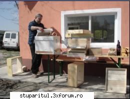 un stup foarte bun - ioanardelean - INTRETINEREA ALBINELOR