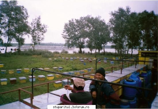 undeva in Romania - 2005 - stupina pe malul dunarii - POZE