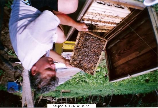 undeva in Romania - 2005 - si rezultatul unor matci bune - POZE