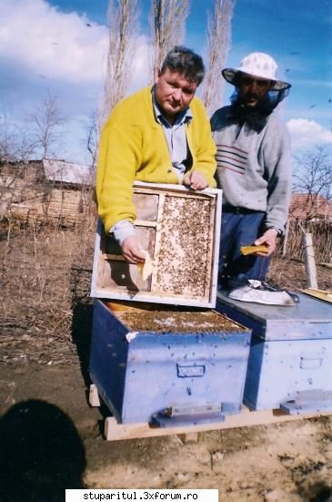undeva in Romania - 2005 - familiile puternice au albina si pe podisor - POZE