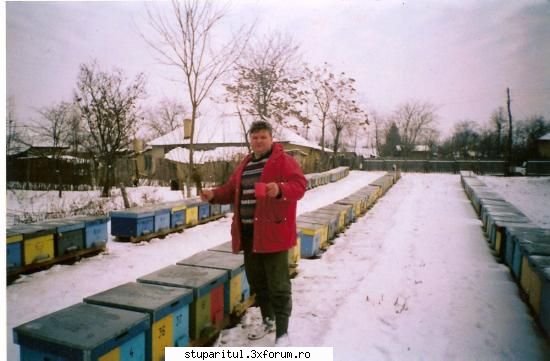 undeva in Romania - 2005 - de boboteaza dam cu aghiasma la stupi - POZE
