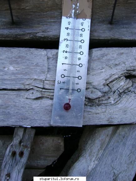 urdinis. - a fost in ziua aia... cu -19*C - INTRETINEREA ALBINELOR